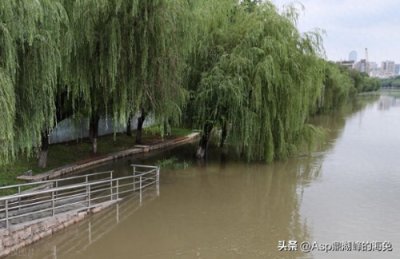 ​江苏南京：水位大涨 秦淮河集庆门大桥和水西门大桥段水位超警戒