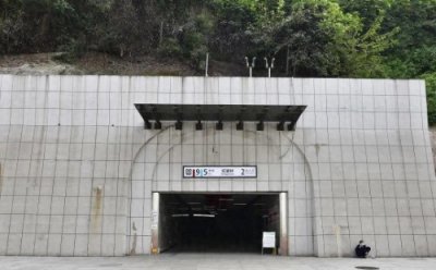 ​电梯奇遇：女子上班14次竟获特殊补贴！