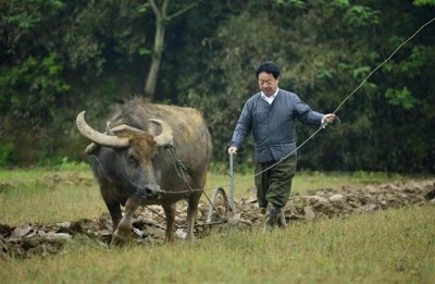 ​南昌退休市长回乡当农民，13年后成“网红”