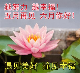 ​20张五月再见，六月你好带字图片，请收藏！