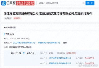​赵薇再陷执行风波：涉400余起纠纷，曾被证券市场禁入5年