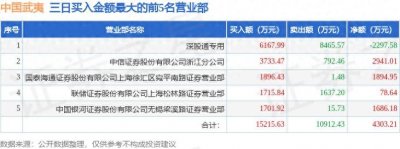 ​11月17日中国武夷（000797）龙虎榜数据：游资上海松林路上榜